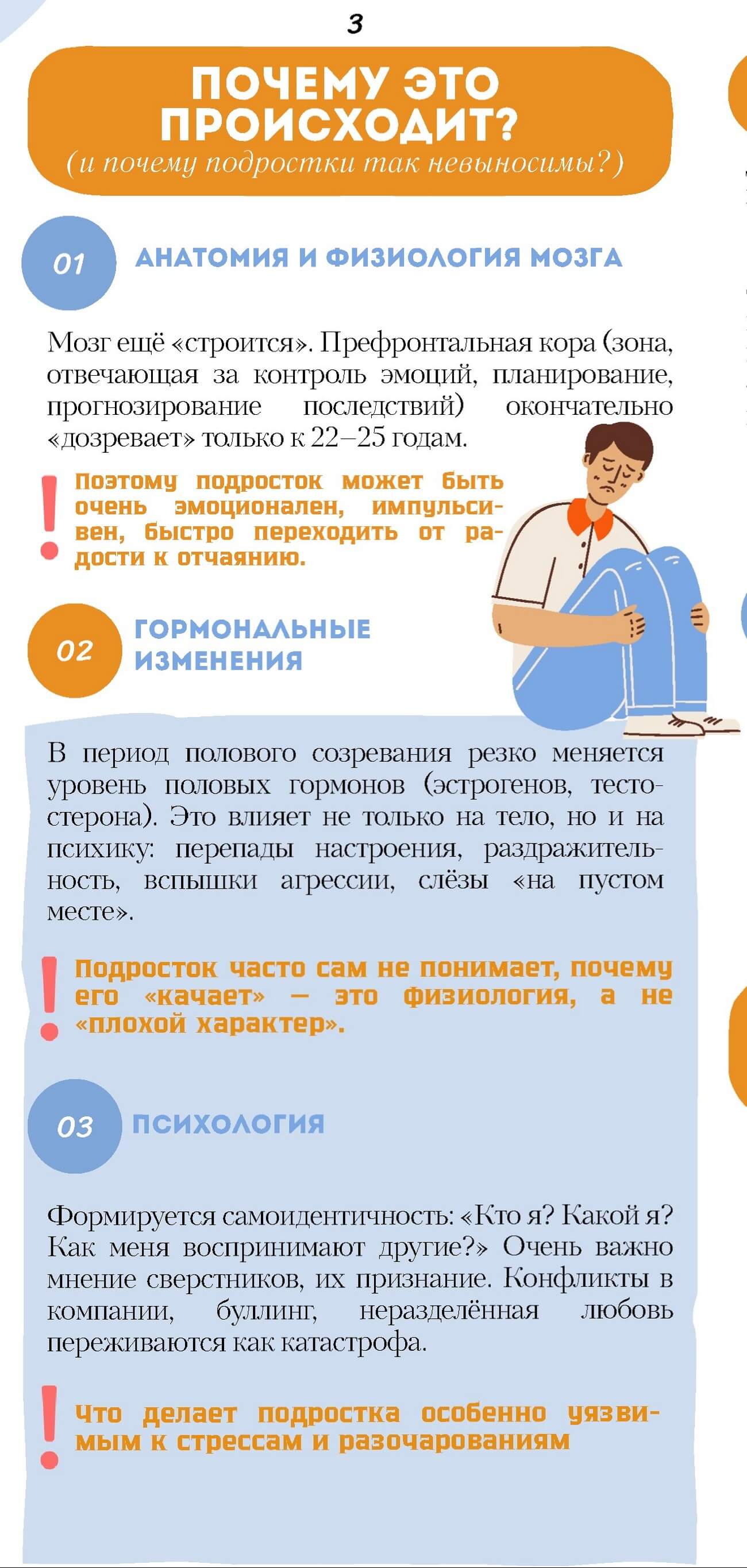 ПОЧЕМУ это ПРОИСХОДИТ? (и почему подростки так невыносимы?) 01. АНАТОМИЯ И ФИЗИОЛОГИЯ МОЗГА. Мозг ещё «строится». Префронтальная кора (зона, отвечающая за контроль эмоций, планирование, прогнозирование последствий) окончательно «дозревает» только к 22-25 годам. Поэтому подросток может быть очень эмоционален, импульсивен, быстро переходить от радости к отчаянию. 02. ГОРМОНАЛЬНЫЕ ИЗМЕНЕНИЯ. В период полового созревания резко меняется уровень половых гормонов (эстрогенов, тестостерона). Это влияет не только на тело, но и на психику: перепады настроения, раздражительность, вспышки агрессии, слёзы «на пустом месте». Подросток часто сам не понимает, почему его «качает» - это физиология, а не «плохой характер». 03. ПСИХОЛОГИЯ. Формируется самоидентичность: «Кто я? Какой я? Как меня воспринимают другие?» Очень важно мнение сверстников, их признание. Конфликты в компании, буллинг, неразделённая любовь переживаются как катастрофа. Что делает подростка особенно уязвимым к стрессам и разочарованиям. 